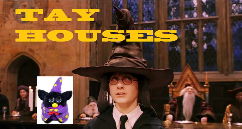 Illustration for article titled Introducing TAY Houses and The Sorting Hat